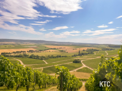 2025-07-05 Heuchelbergtrail - IMG_9146